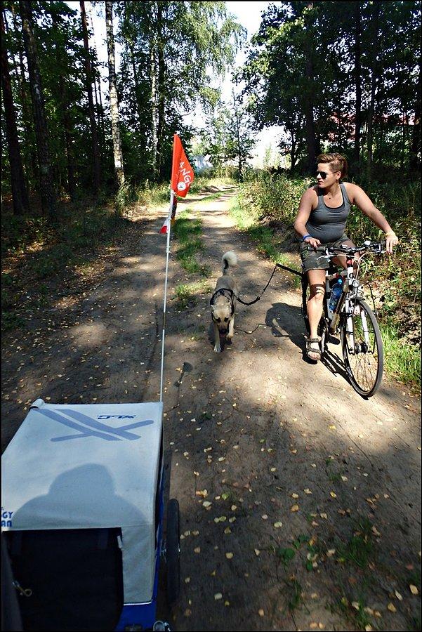 Na niebieskim szlaku