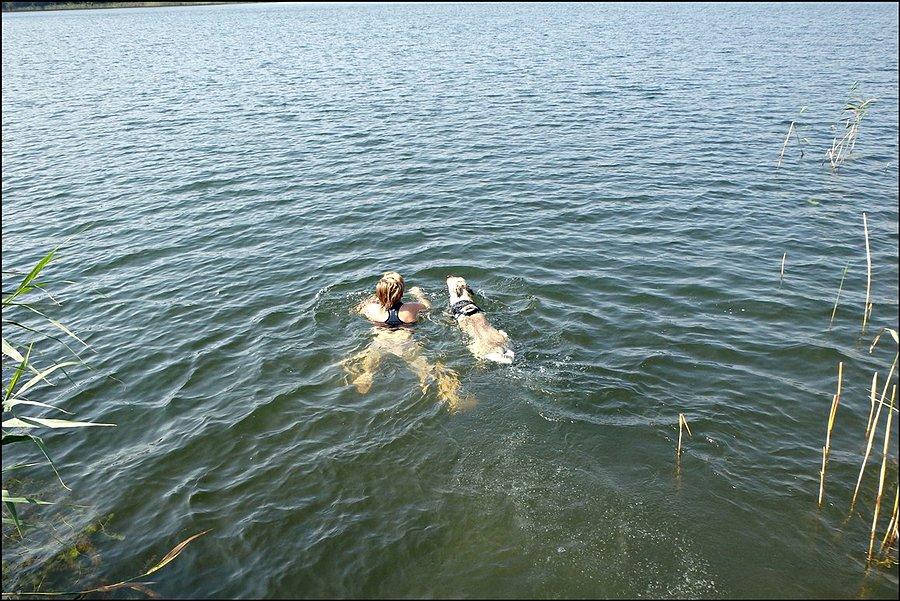 Dwa wodniki szuwarki