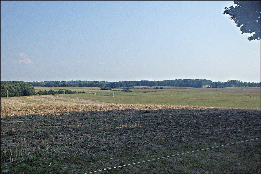 Widoczki