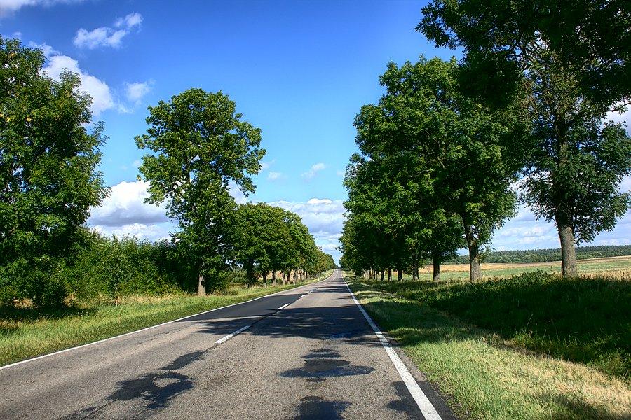 Drogą nr 20 w kierunku Chociwla