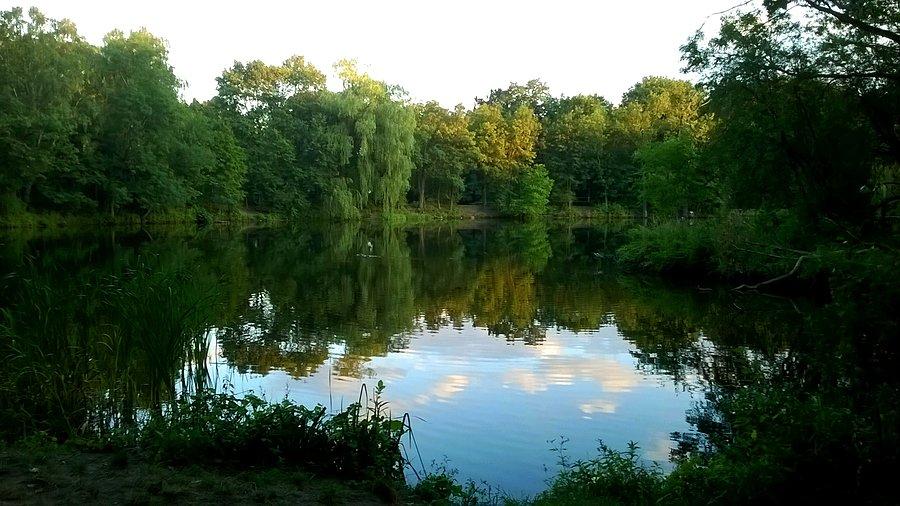 Las Dębiński