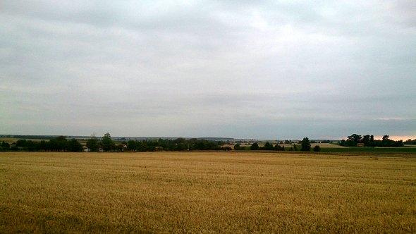 Pola koło Wierciszowa
