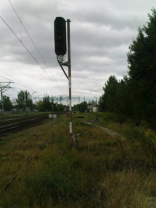 Pomimo,że tor jest zamknięty od wieków i zarośnięty wyżej kolan, to nadal jest oświetlany. Na czerwono