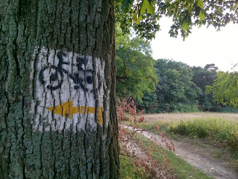 Tym szlakiem się kierowałyśmy