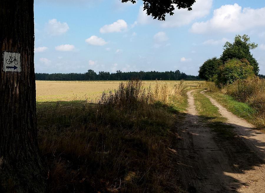 Na nieznany szlak do Parlina