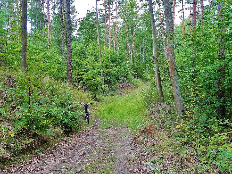 Okolice Tczewa