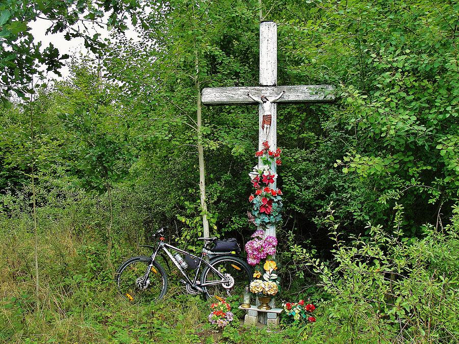 Okolice Tczewa