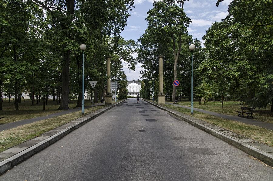 Droga do zespołu pałacowo-parkowego w Kozienicach