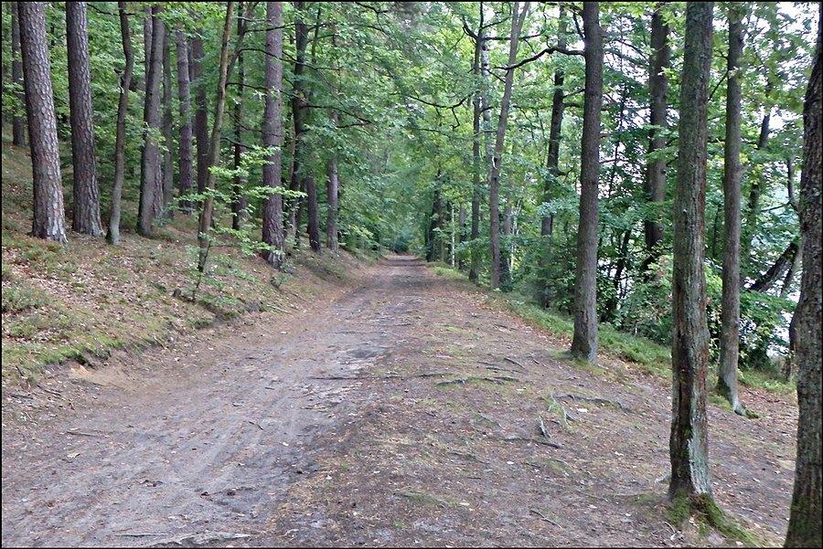 Na niebieskim szlaku