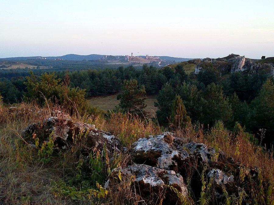 Olsztyn z Towarnych z miejsca powyżej ogniska