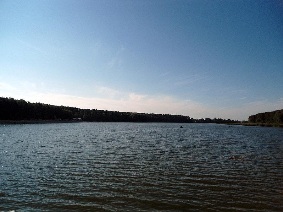 Jezioro w Gołuchowie