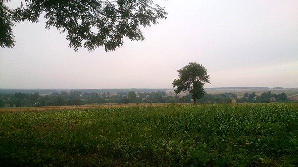 Widoki na pola koło Starej Wsi