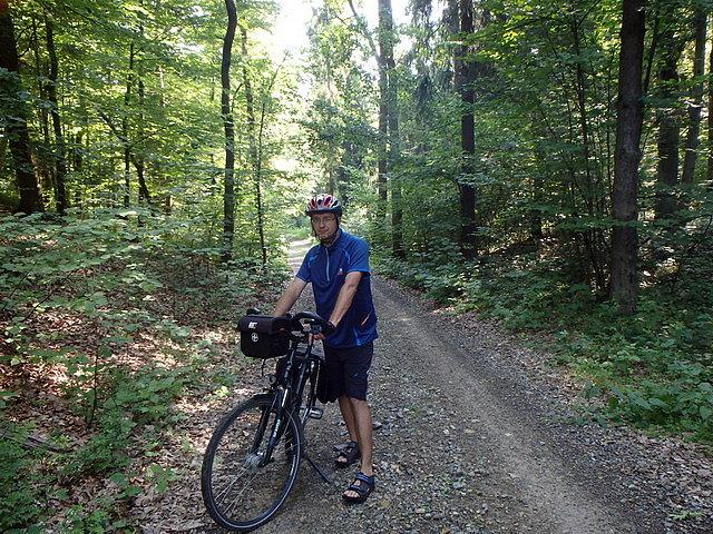 Na ścieżce leśnej Rowerowego Szlaku Orlich Gniazd