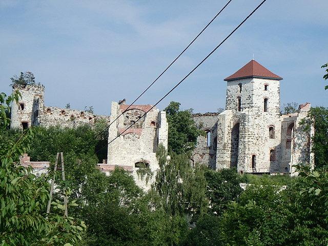 Zamek Tenczyn - widok od strony południowej