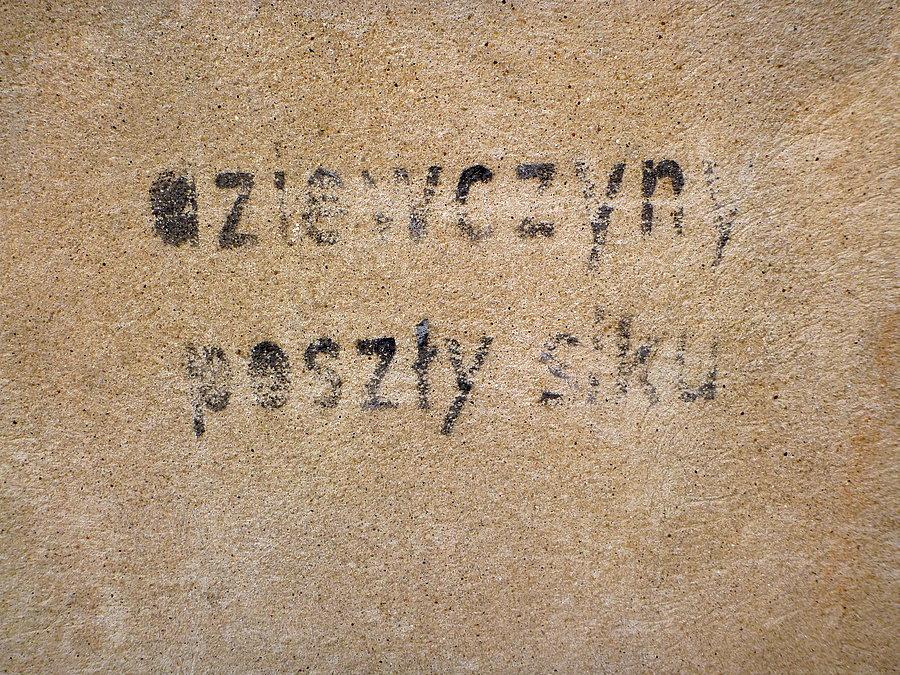 Podpatrzone w zamościu