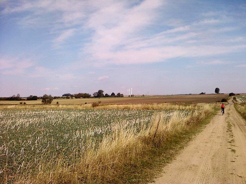 Okolice Bechcic