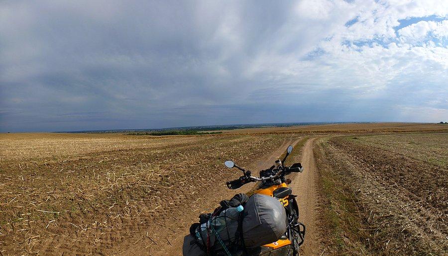 Znów wywiedziony w pole
