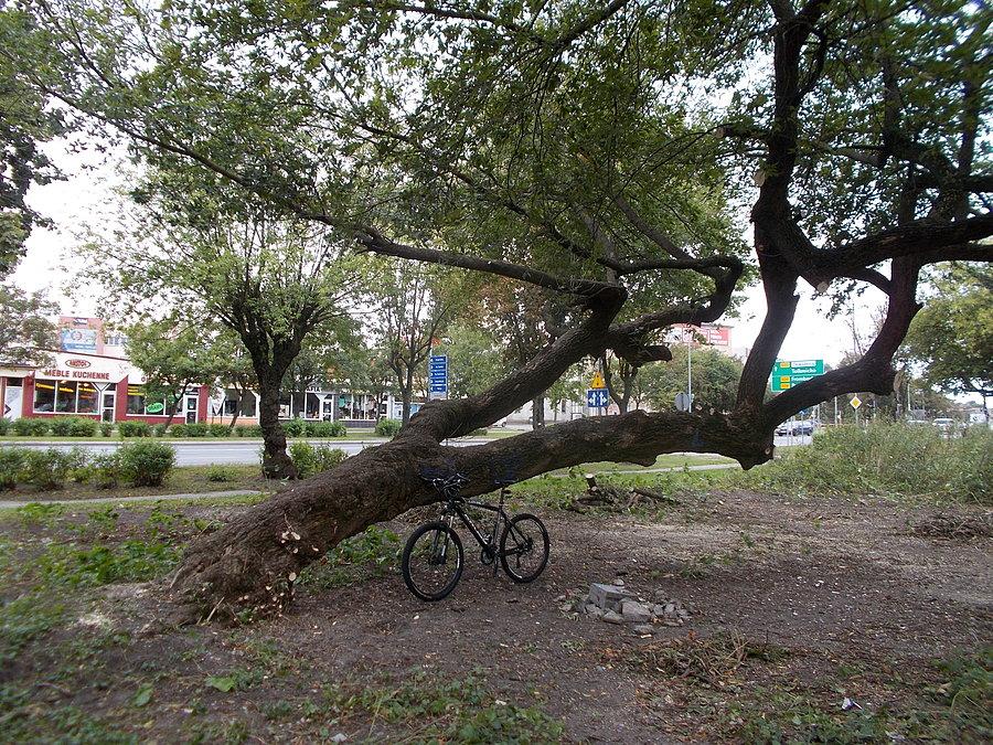 Pochyłość może mieć różny wymiar