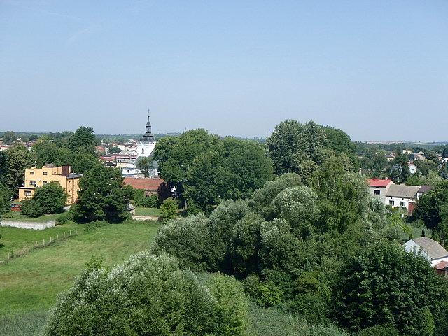 Widok na miasto z zamkowej wieży