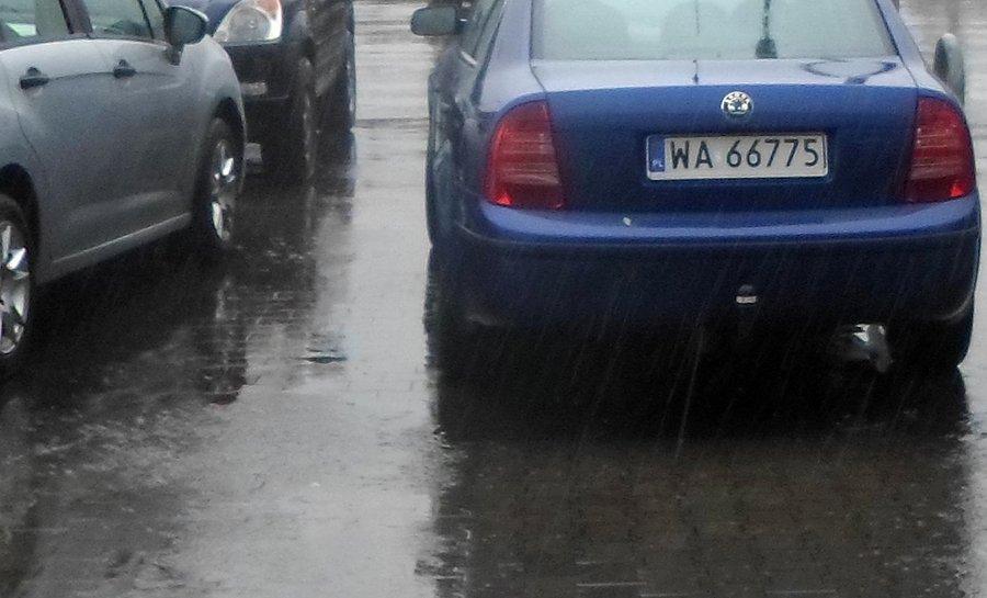 Leje jak z cebra