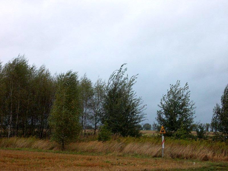Trochę wiało