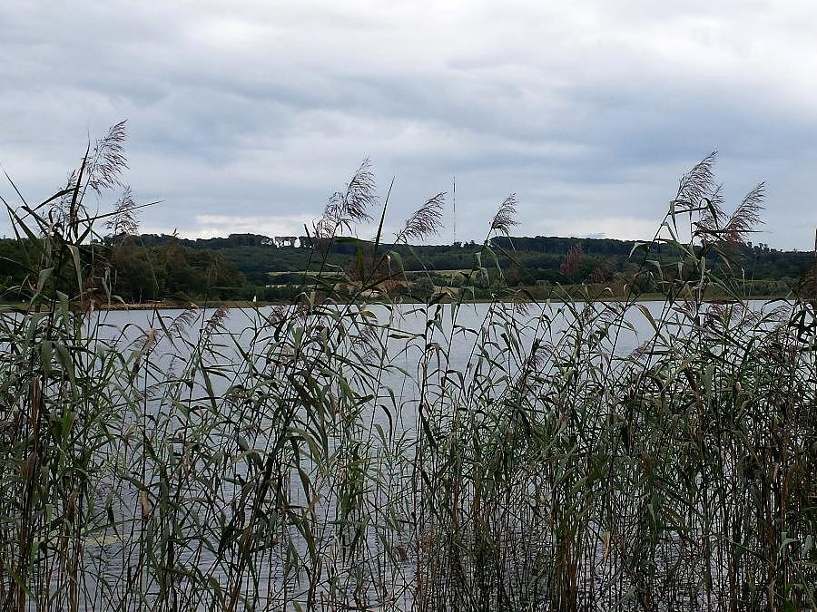 Jezioro Binowskie
