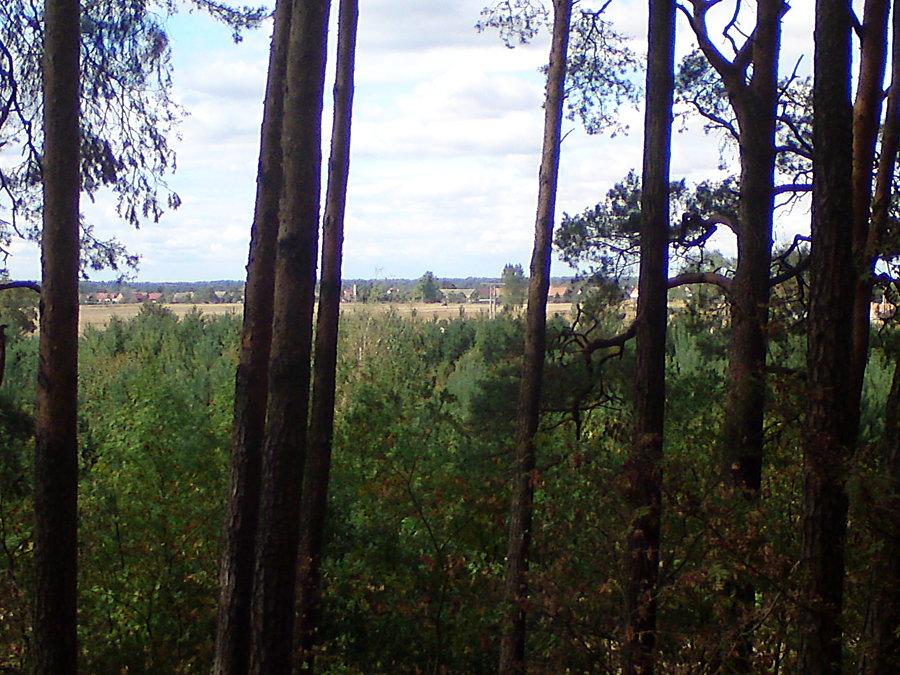 Widok z górki Myśliborzyce w kierunku na Szydłowice