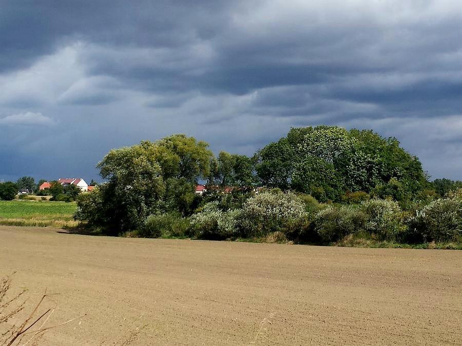 Ciemne chmury nad Kołbaczem