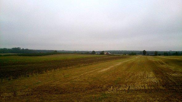Pola koło Strzeszkowic