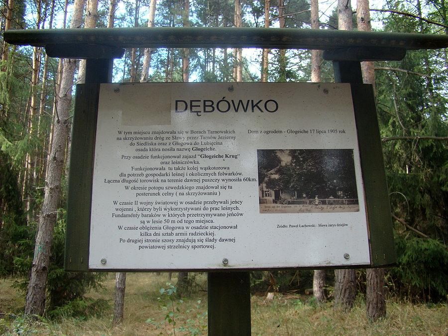 Dębówko w Borach Tarnowskich. W tym miejscu znajdowała się przed wojną osada o nazwie Glogeiche