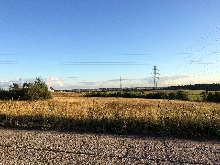 Widok na pole