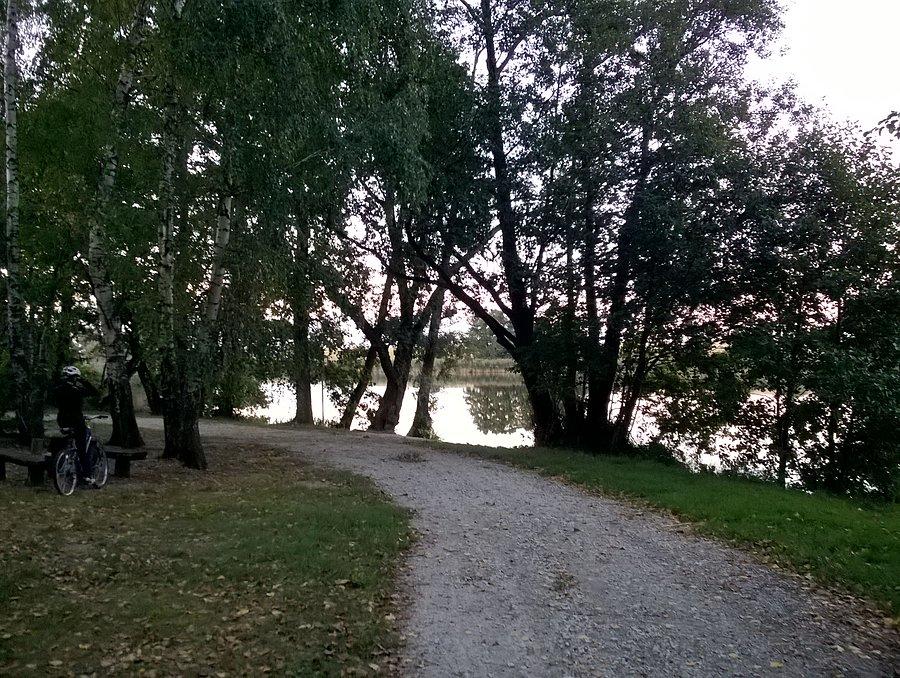 Nad jeziorem Chomęcickim