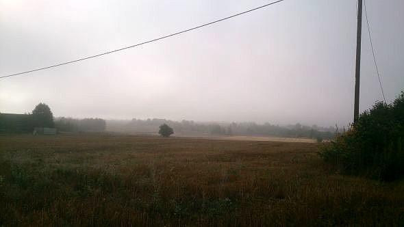 Mgła nad polami