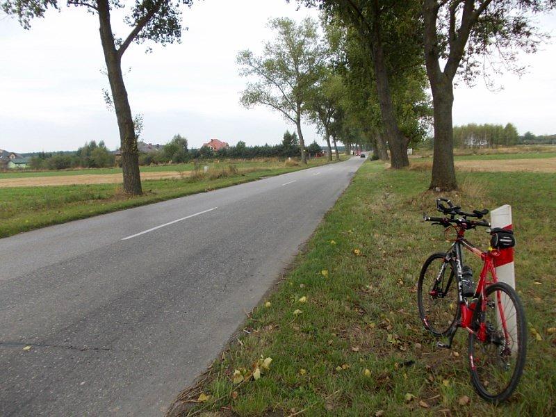 Idzie jesień, niestety :-/