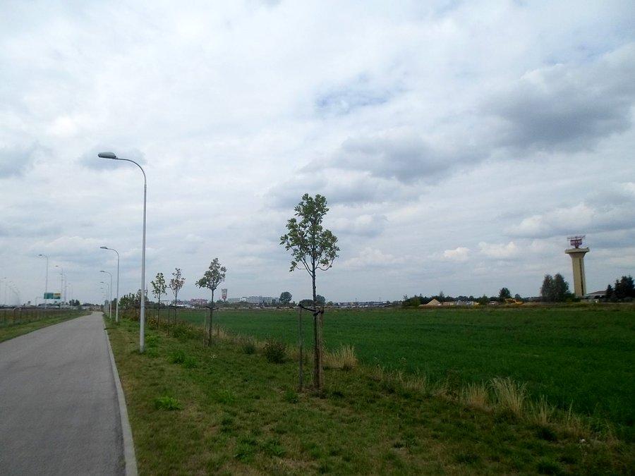 Droga serwisowa - techniczna obok S8