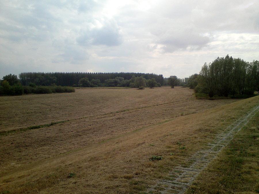 Wykoszona dolina Odry