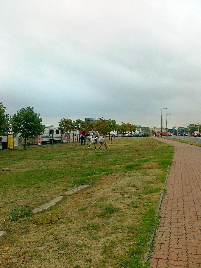 Przy cyrku dwie dziewczyny jeździły konno szykując się do występu