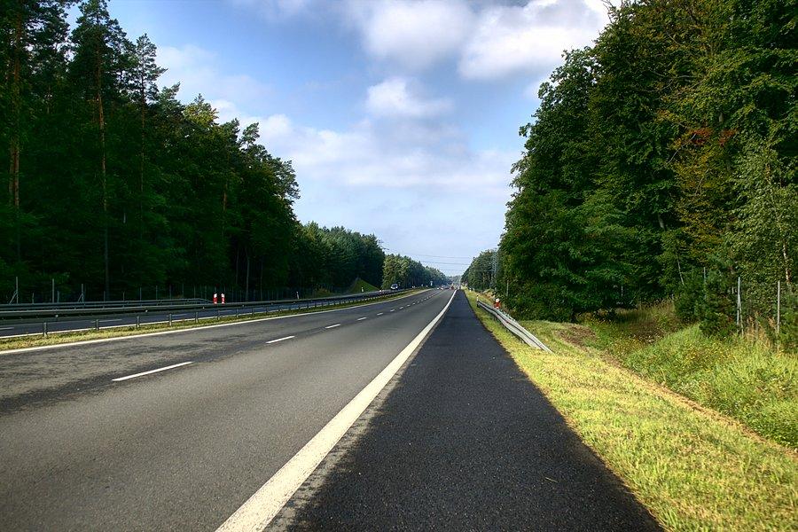 Dziesiątką do Płoni
