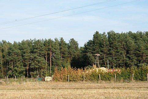 Gniazda bocianie już puste