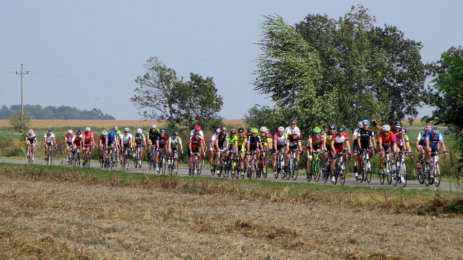 Ładne i barwne ujęcie napierających szosonów