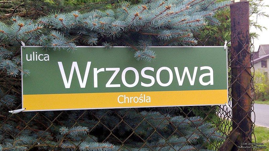 Ulica Wrzosowa