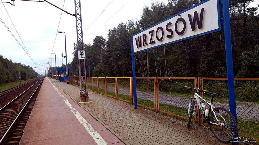Wrzosów. Miałam tu wsiąść w pociąg