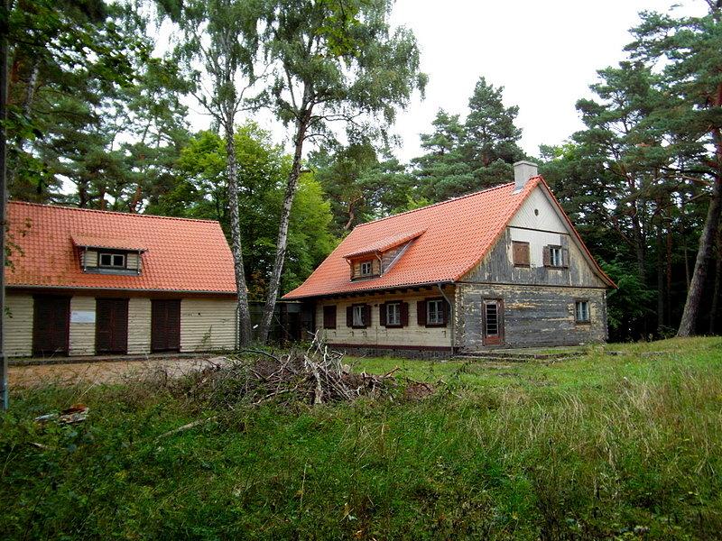 Forsterówka- Wyspa Sobieszewska