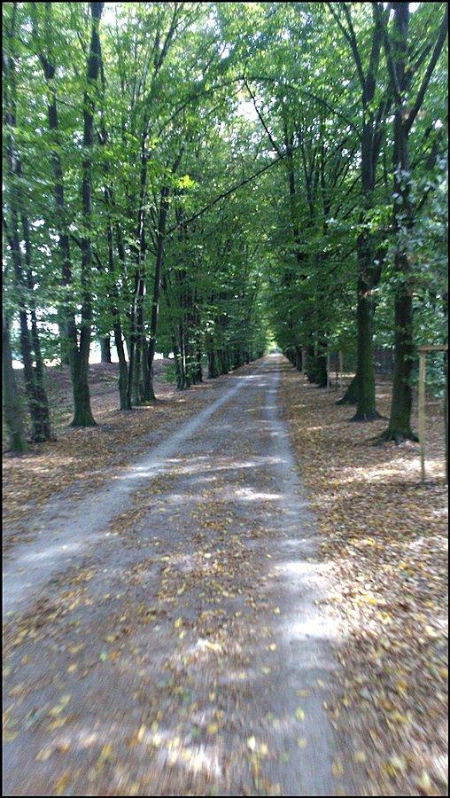 Nieopodal Kilimandżaro