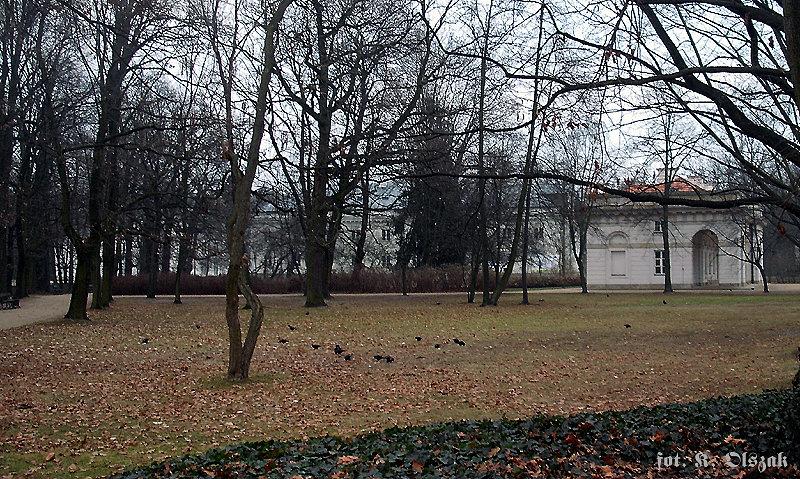 Podchorążowie z Wielkiej Oficyny