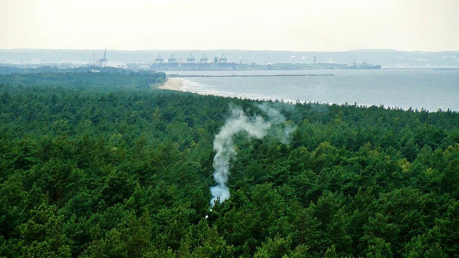 Wycieczka do Sobieszewa, zwiedzić wieżę widokową
