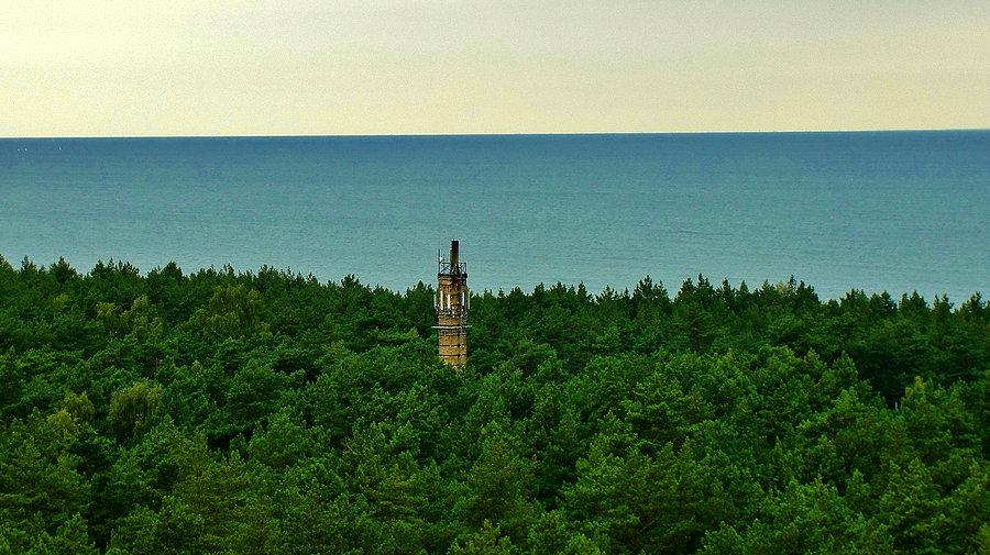 Wycieczka do Sobieszewa, zwiedzić wieżę widokową