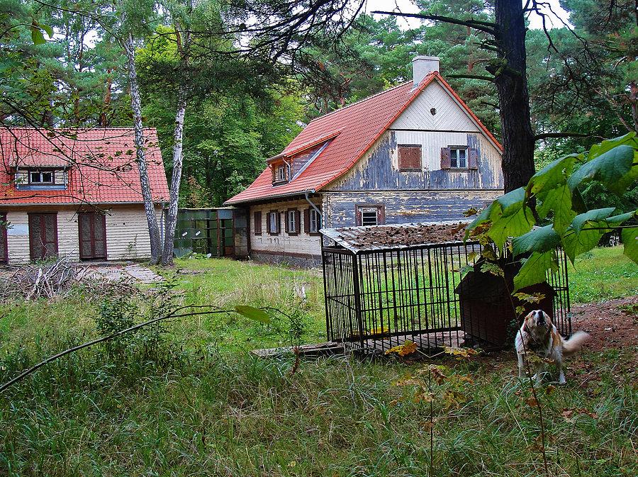 Wycieczka do Sobieszewa. Foresterówka