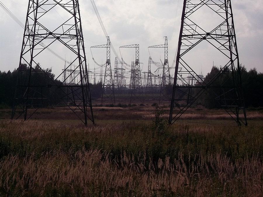 Las słupów