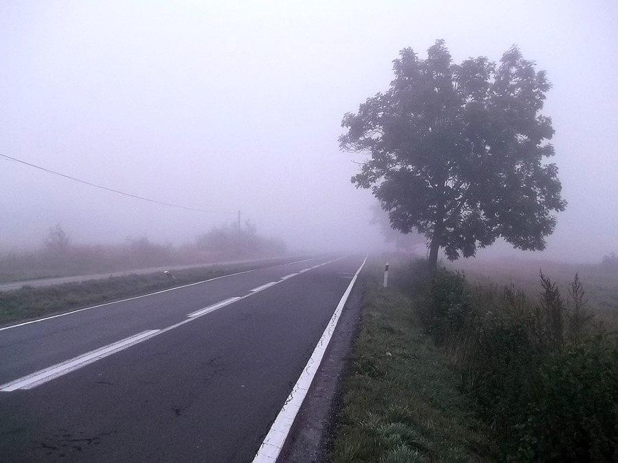 Mgliście